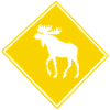 caribou_creu