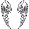 wings