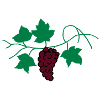 Grapes