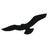 Vogel