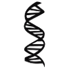 DNA