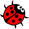 Vibrant Ladybug Spot Pattern