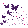 Butterflies & asterisk