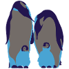 penguin-family