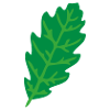 liść