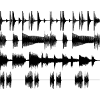 Black waveforms