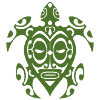 tortue