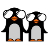 funky penguins
