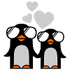 penguins fallen in love