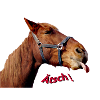 Ätsch!