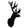 Hirsch - Geweih
