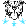 sbtsmile2