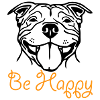 sbtsmile3