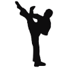 Karate - Kick - Boxing