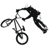 DIRT JUMP BMX