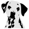 dogz_dalmatiner