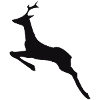 deer,roe deer,forest