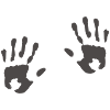 hands
