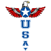 usa