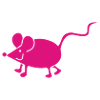 Souris