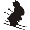 ski