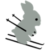 Ski Bunny
