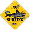 no surfing