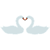 Swans Heart