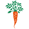 carrot
