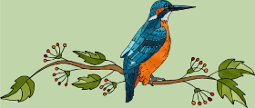 Motif Oiseau Majestueux personnalisé sur vêtement