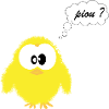 piou dev
