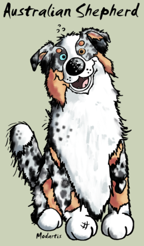 T-shirt Berger Australien amusant ! Un motif cartoon joyeux pour les amoureux des chiens. Affichez votre passion avec humour et style. Idéal...