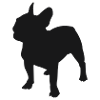 Bulldog Silhouette
