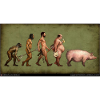 Evolution