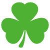 Kleeblatt Shamrock