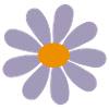 Flower daisy
