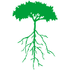 root tree