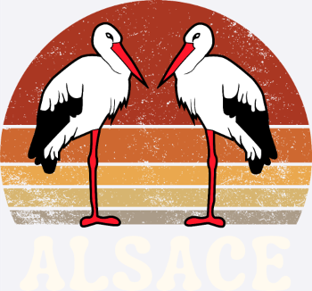 Alsace cigognes Sunset rétro vintage humour