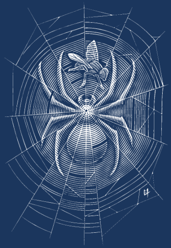 Toile d'Araignée Mystérieuse