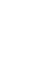 Toile d'Araignée Mystérieuse
