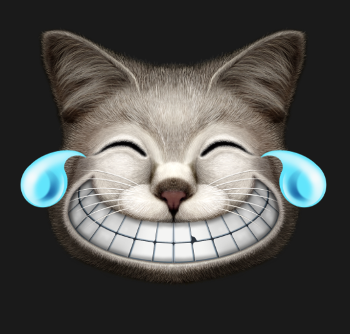 Chat Hilarant Explosion Rires