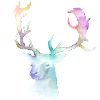 Hirsch