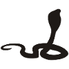 cobra