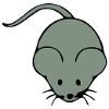 maus