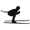 Ski