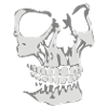 Skull Face 3D right