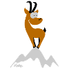 chamois (c)