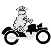 sheep_motorrad_1