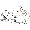 Shark loses teeth