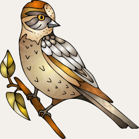 Motif L'Oiseau Arc-en-ciel personnalisé sur vêtement
